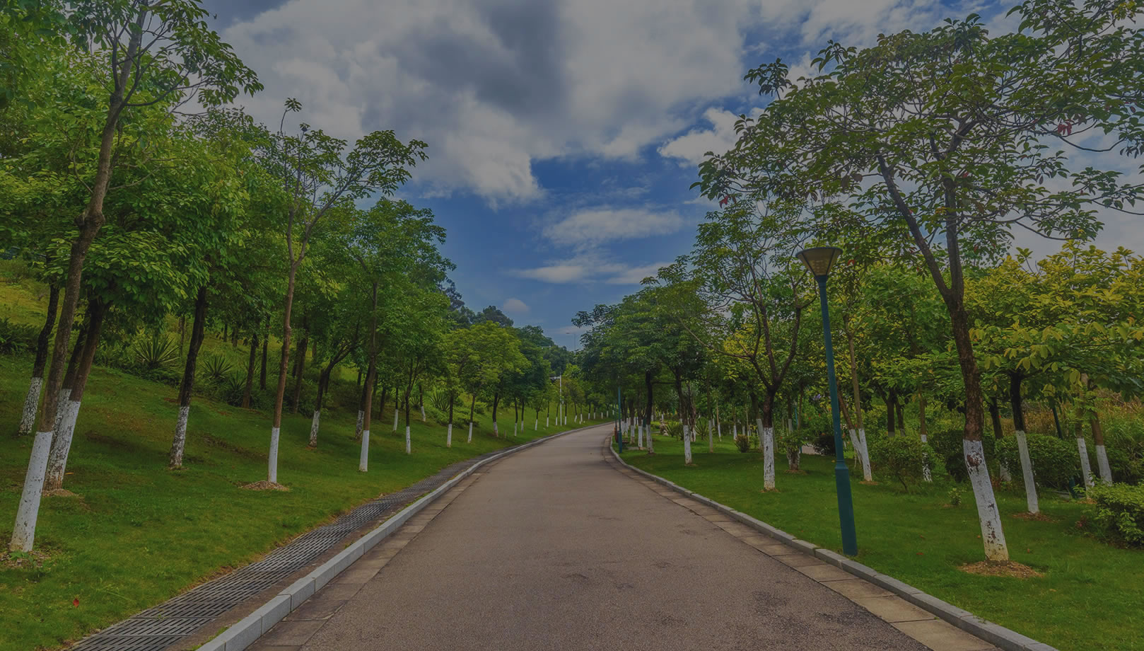 為運(yùn)動(dòng)而聲